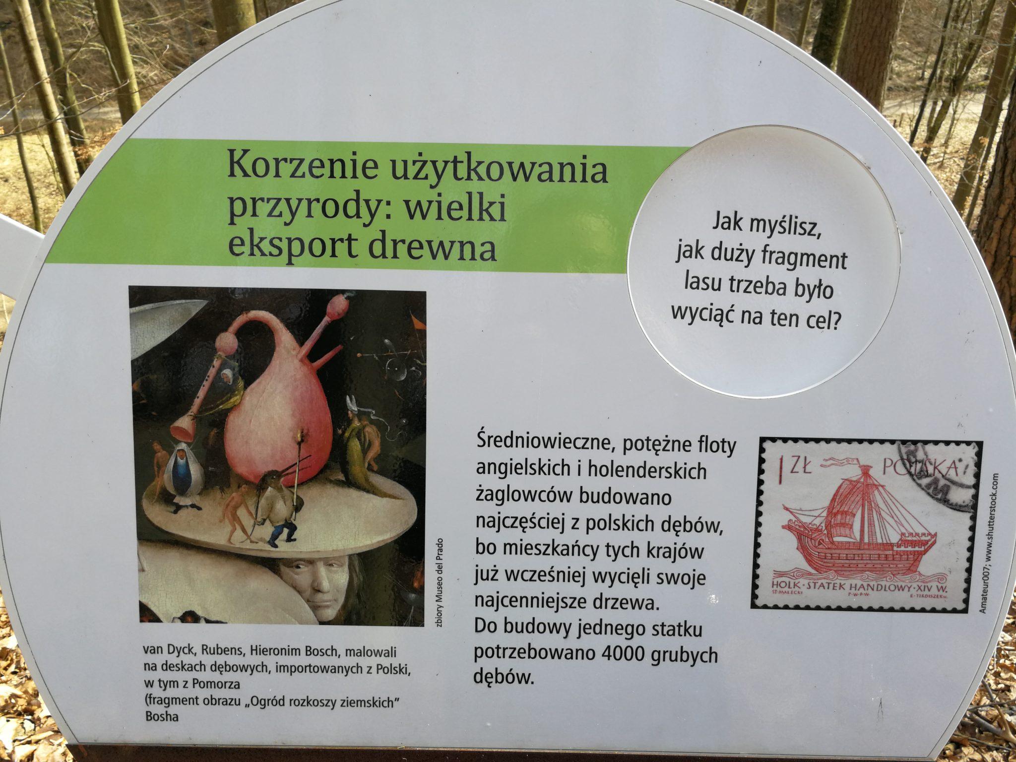 Leśny-Ogród-Botaniczny-w-Marszewie-Rubens-malował-na-polskich-deskach-dębowych